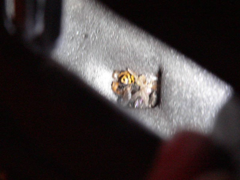 ZX14 Scotts Rotary Steering Damper Installation FYI