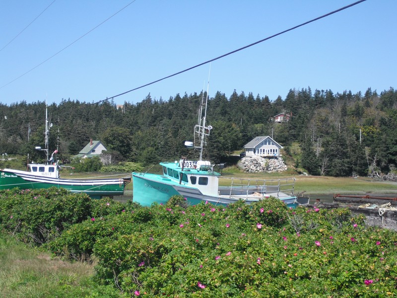 Now where did Romans go??